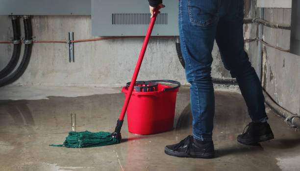 Best Water damage contractors near me  in Porter Heights, TX