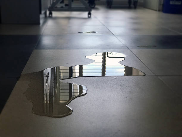 Best Water damage restoration company  in Porter Heights, TX