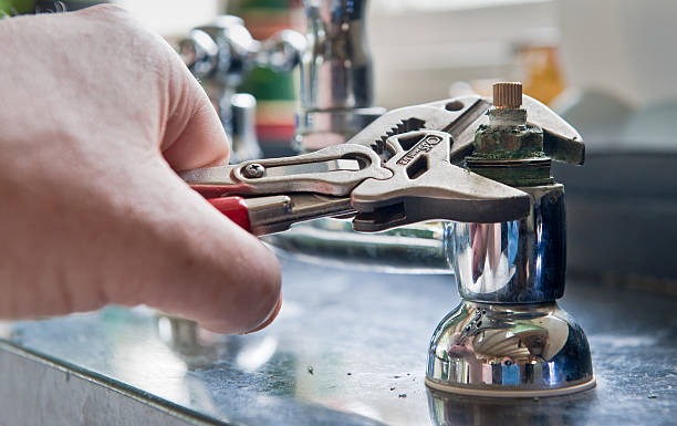 Best Local water damage restoration  in Porter Heights, TX