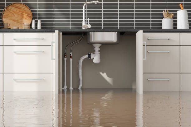 Best Water damage contractors near me  in Porter Heights, TX
