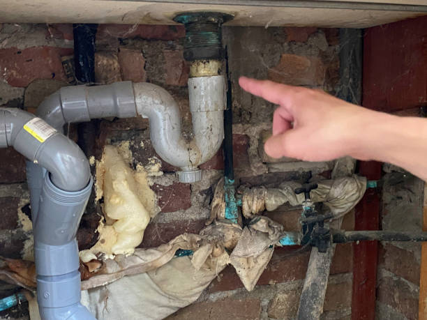 Best Water damage mitigation services  in Porter Heights, TX